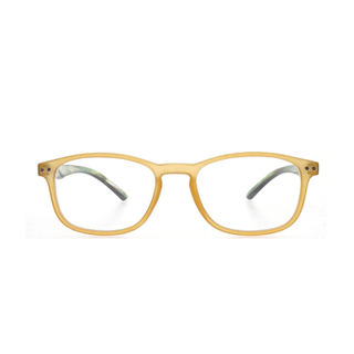 Wholesale Marco de color translúcido Gafas de ojo Marcos LR-P5855