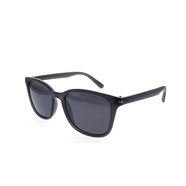 Gafas de sol cuadradas grandes Venta en la moda en Internet Gafas de sol de PC de gama alta LS-P656